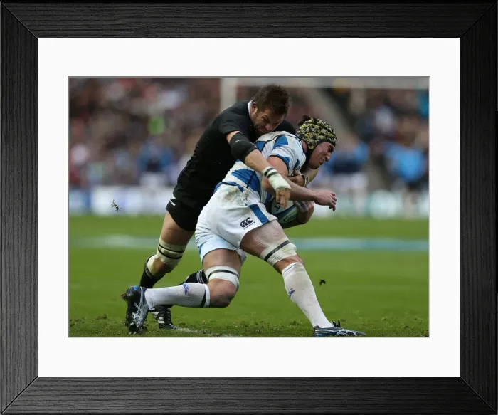 Framed Print : Scotland vs New Zealand Framed Print : Scotland vs New Zealand