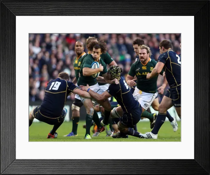 Framed Print : Scotland vs South Africa Scotland 10 SA 21 Framed Print : Scotland vs South Africa Scotland 10 SA 21