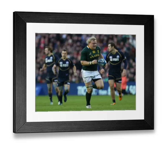 Framed Print : Scotland vs South Africa Scotland 10 SA 21