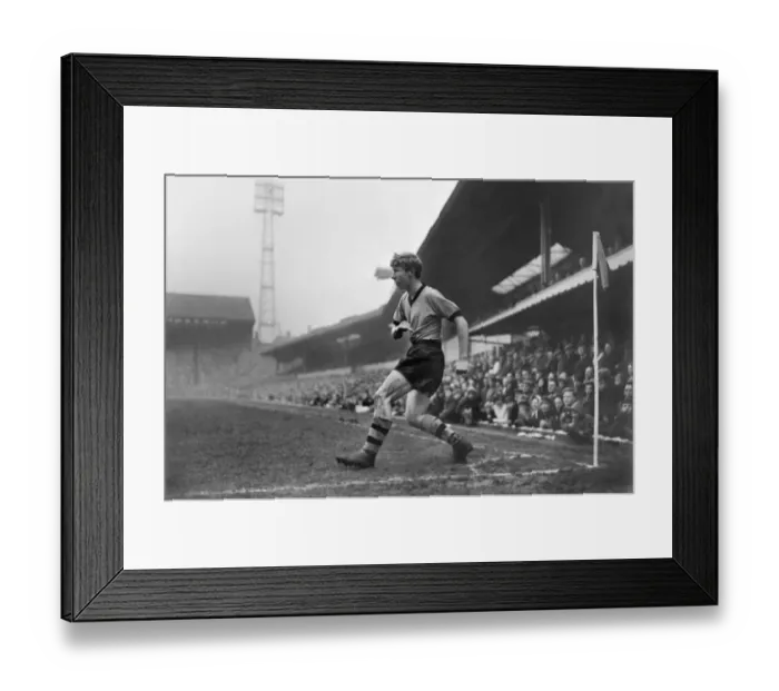 Framed Print : Alan Hinton - Wolves Framed Print : Alan Hinton - Wolves
