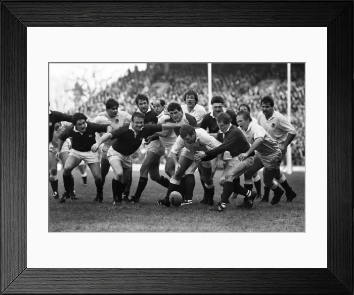 Framed Print : England and Scotland forwards battle for the ball - 1983 Five Nations Framed Print : England and Scotland forwards battle for the ball - 1983 Five Nations