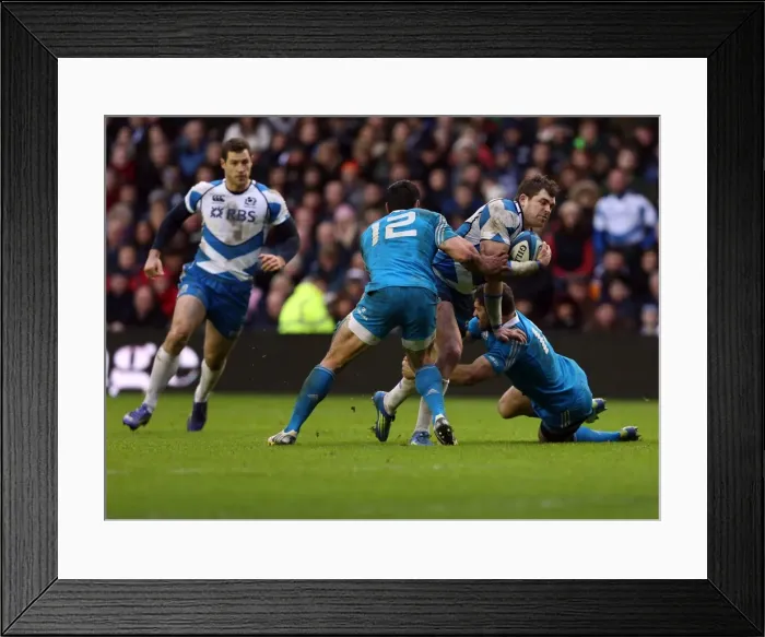 Framed Print : 6N 2013: Scotland 34 Italy 10 Framed Print : 6N 2013: Scotland 34 Italy 10