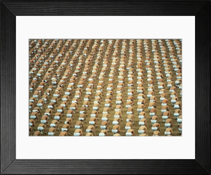 Framed Print : 1980 Spartakiad at the Strahov Stadium, Prague Framed Print : 1980 Spartakiad at the Strahov Stadium, Prague