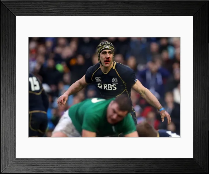 Framed Print : 6N 2013: Scotland 12 Ireland 8 Framed Print : 6N 2013: Scotland 12 Ireland 8