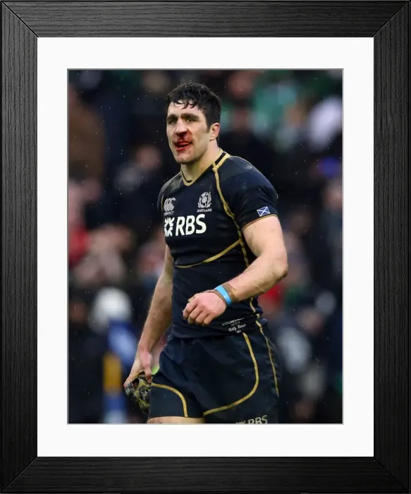 Framed Print : 6N 2013: Scotland 12 Ireland 8 Framed Print : 6N 2013: Scotland 12 Ireland 8