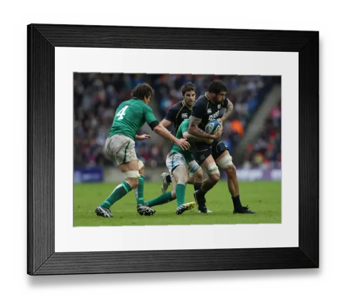 Framed Print : 6N 2013: Scotland 12 Ireland 8 Framed Print : 6N 2013: Scotland 12 Ireland 8