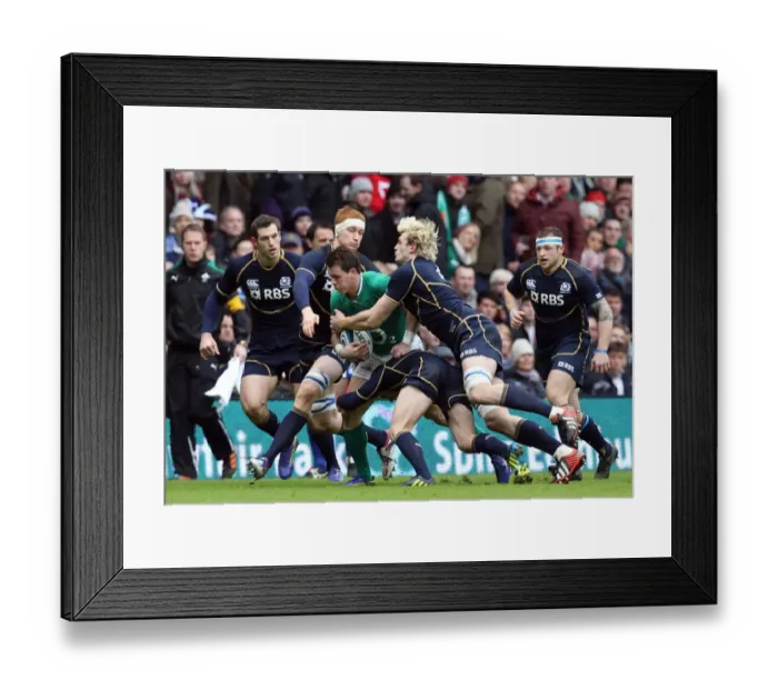 Framed Print : 6N 2013: Scotland 12 Ireland 8 Framed Print : 6N 2013: Scotland 12 Ireland 8