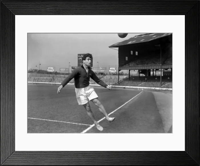 Framed Print : Miles Spector - Chelsea