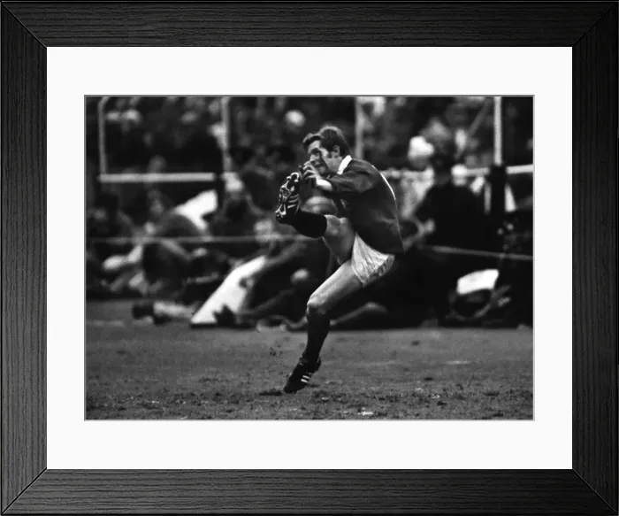 Framed Print : Ollie Campbell - 1980 British Lions Tour of South Africa Framed Print : Ollie Campbell - 1980 British Lions Tour of South Africa