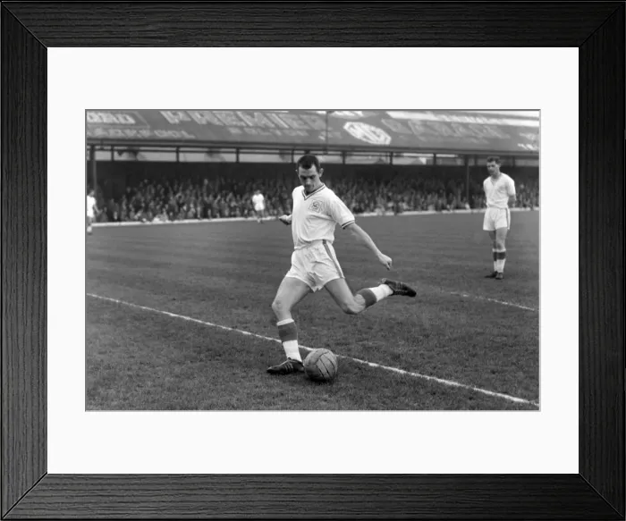 Framed Print : Peter Donnelly - Cardiff City Framed Print : Peter Donnelly - Cardiff City