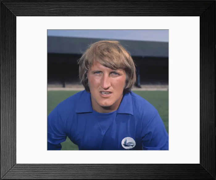 Framed Print : Ian Gibson - Cardiff City Framed Print : Ian Gibson - Cardiff City