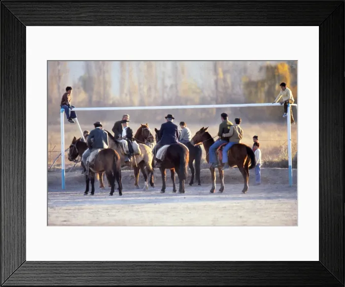 Framed Print : Horses on a local football pitch - 1978 World Cup Framed Print : Horses on a local football pitch - 1978 World Cup