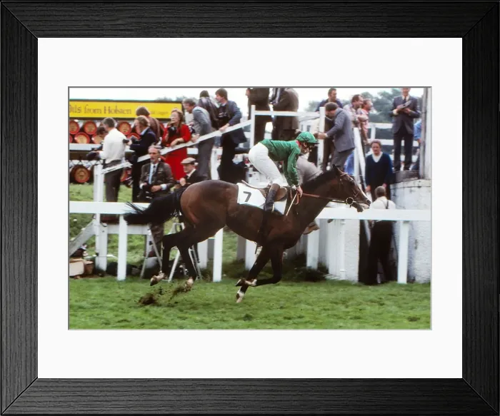 Framed Print : Shergar - 1981 St. Leger Stakes