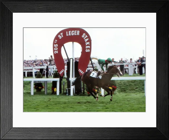 Framed Print : Shergar - 1981 St. Leger Stakes