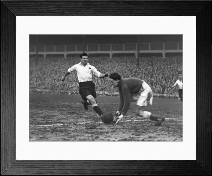 Framed Print : Len Duquemin - Tottenham Hotspur Framed Print : Len Duquemin - Tottenham Hotspur