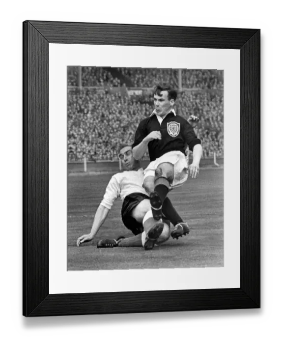 Framed Print : Scotlands Lawrie Reilly and Englands Billy Wright - 1954 / 5 Home Championship Framed Print : Scotlands Lawrie Reilly and Englands Billy Wright - 1954 / 5 Home Championship