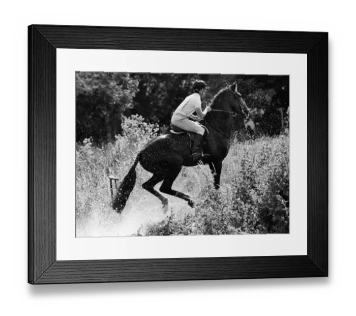 Framed Print : Mark Phillips - 1972 Munich Olympics - 3-Day Eventing Framed Print : Mark Phillips - 1972 Munich Olympics - 3-Day Eventing