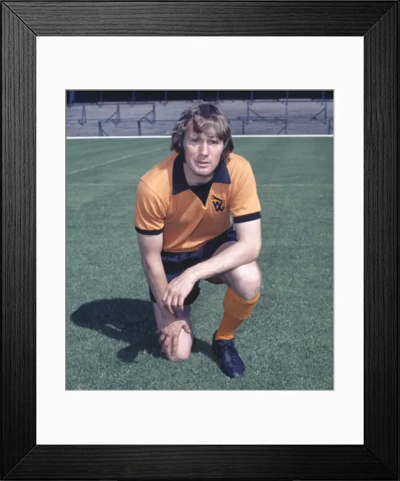 Framed Print : David Wagstaffe - Wolverhampton Wanderers