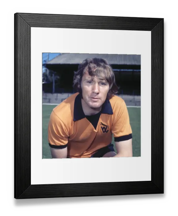 Framed Print : David Wagstaffe - Wolverhampton Wanderers Framed Print : David Wagstaffe - Wolverhampton Wanderers