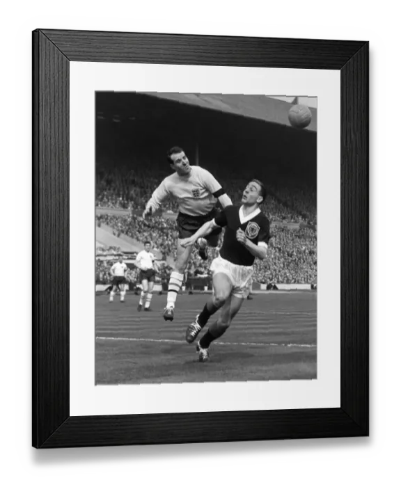 Framed Print : England goalkeeper Ron Springett punches clear from Ian St. John - 1960  /  1 British Home Championship