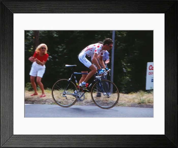 Framed Print : Tour de France - Stage 19 Framed Print : Tour de France - Stage 19
