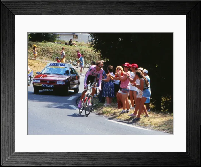 Framed Print : Tour de France - Stage 19 Framed Print : Tour de France - Stage 19