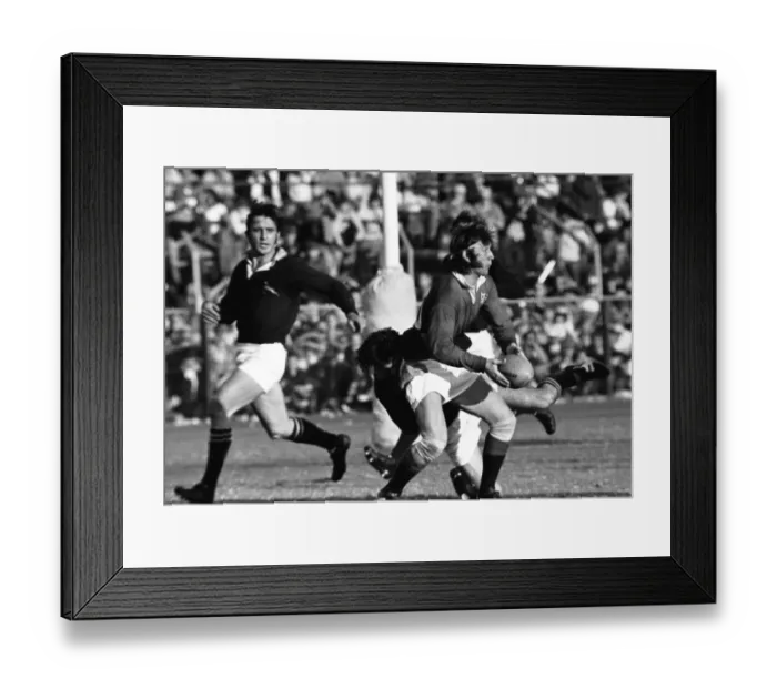 Framed Print : 3rd Test: SA 9 Lions 26 Framed Print : 3rd Test: SA 9 Lions 26