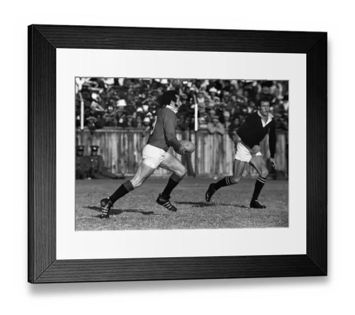 Framed Print : 3rd Test: SA 9 Lions 26 Framed Print : 3rd Test: SA 9 Lions 26