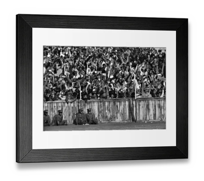 Framed Print : 3rd Test: SA 9 Lions 26 Framed Print : 3rd Test: SA 9 Lions 26