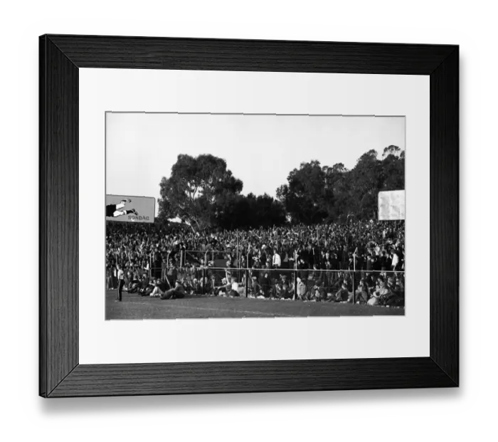 Framed Print : 3rd Test: SA 9 Lions 26 Framed Print : 3rd Test: SA 9 Lions 26
