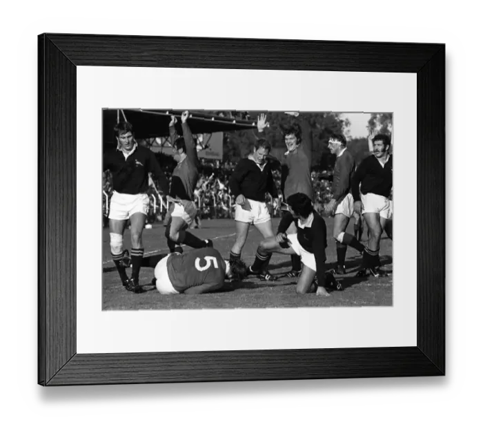 Framed Print : 3rd Test: SA 9 Lions 26 Framed Print : 3rd Test: SA 9 Lions 26