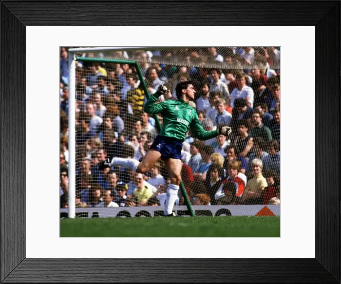 Framed Print : Tony Parks - Tottenham Hotspur Framed Print : Tony Parks - Tottenham Hotspur