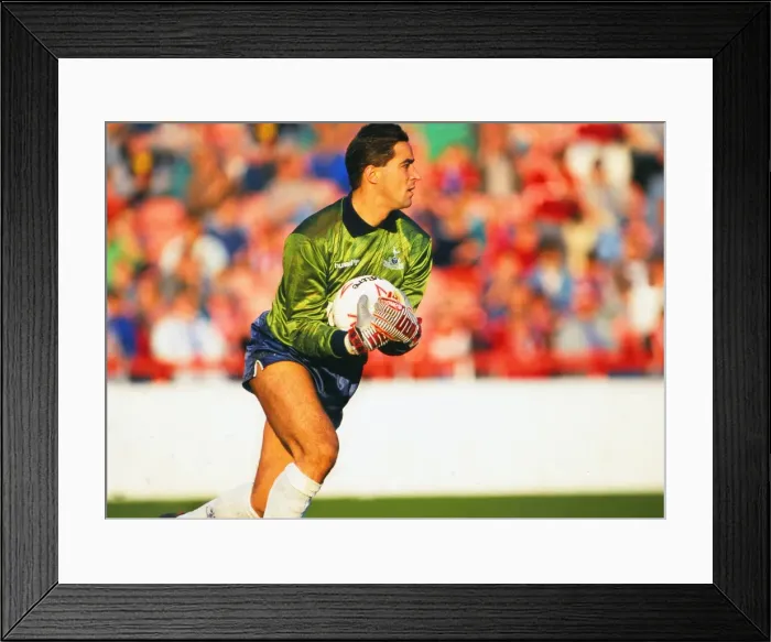Framed Print : Tony Parks - Tottenham Hotspur Framed Print : Tony Parks - Tottenham Hotspur