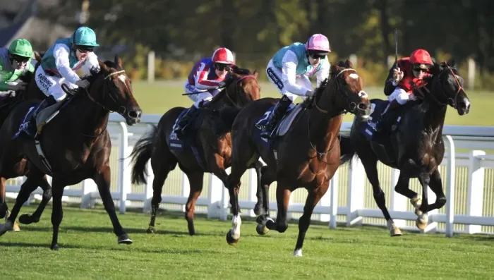 Framed Print : Frankel & Bullet Train - 2011 Queen Elizabeth II Stakes Framed Print : Frankel & Bullet Train - 2011 Queen Elizabeth II Stakes