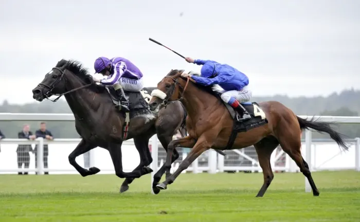 Framed Print : Frankie Dettori on Rewilding wins the The Prince of Wales Stakes Framed Print : Frankie Dettori on Rewilding wins the The Prince of Wales Stakes