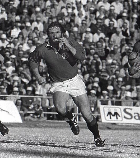 lions tour south africa 1980