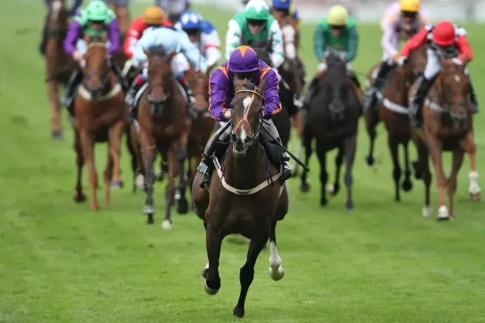 Framed Print : Simenon ridden by Ryan Moore, leads the Ascot Stakes - Royal Ascot 2012 Framed Print : Simenon ridden by Ryan Moore, leads the Ascot Stakes - Royal Ascot 2012