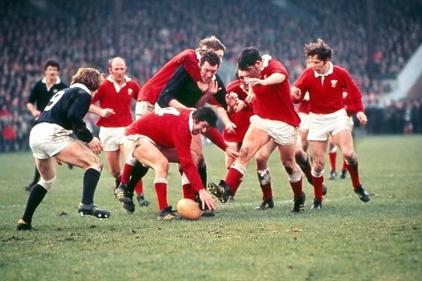 Wales face Scotland at Murrayfield - 1979 Five Nations