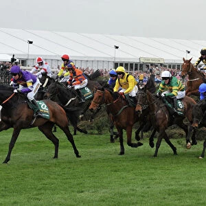 The 2010 Grand National