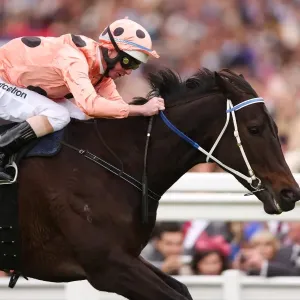 Black Caviar at Royal Ascot Black Caviar at Royal Ascot