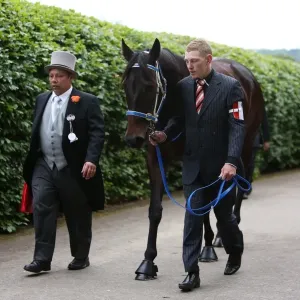 Black Caviar at Royal Ascot Black Caviar at Royal Ascot