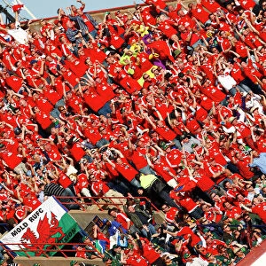 British Lions fans in South Africa in 2009