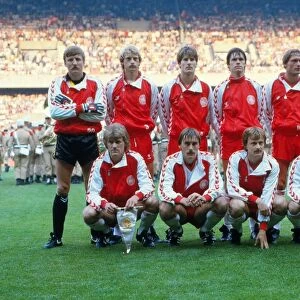 The Denmark team at Euro 84