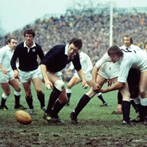 England and Scotland clash - 1977 Five Nations
