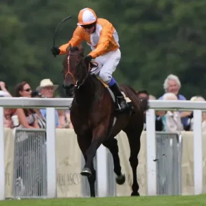 Most Improved, ridden by Kieren Fallon, leads the St James Palace Stakes - Royal Ascot 2012 Most Improved, ridden by Kieren Fallon, leads the St James Palace Stakes - Royal Ascot 2012