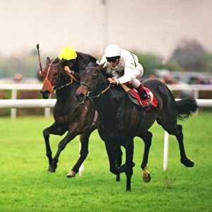 Presenting, ridden by Frankie Dettori, wins the 1995 Durante Conditions
