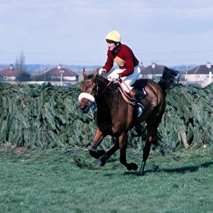 Red Rum and Tommy Stack clear the last to win the 1977 Grand National