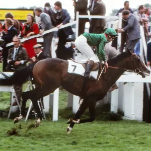 Shergar - 1981 St. Leger Stakes Shergar - 1981 St. Leger Stakes