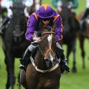 Simenon ridden by Ryan Moore, leads the Ascot Stakes - Royal Ascot 2012 Simenon ridden by Ryan Moore, leads the Ascot Stakes - Royal Ascot 2012