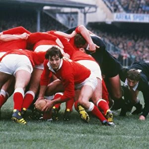 Terry Holmes passes the ball against the All Blacks in 1980